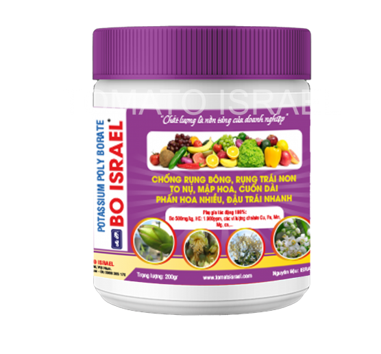 BO ISRAEL (200g)