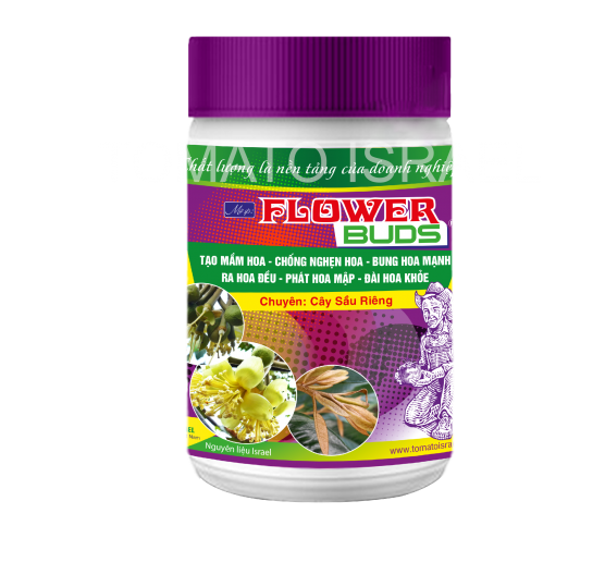 FLOWER BUDS (600g)