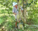 NGUY CƠ HẠN. MẶN ĐẾN SỚM, CHỦ ĐỘNG BẢO VỆ SẢN XUẤT