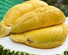 GỠ NÚT THẮT CHO XUẤT KHẨU SẦU RIÊNG SANG TRUNG QUỐC 
