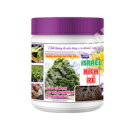 ISRAEL KÍCH RỄ (500g)