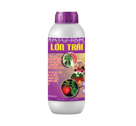 LỚN TRÁI (500ml)